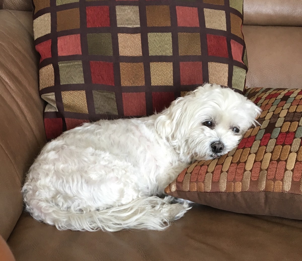 THANK YOU, OLLIE. I LOVE&nbsp;YOU.